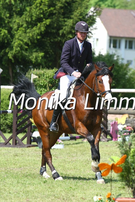 204M3273_Quite Gallant_Springpfe_Axx.JPG